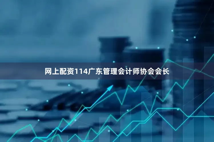 网上配资114广东管理会计师协会会长