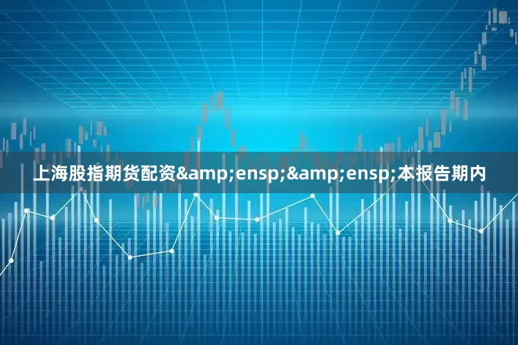 上海股指期货配资&ensp;&ensp;本报告期内